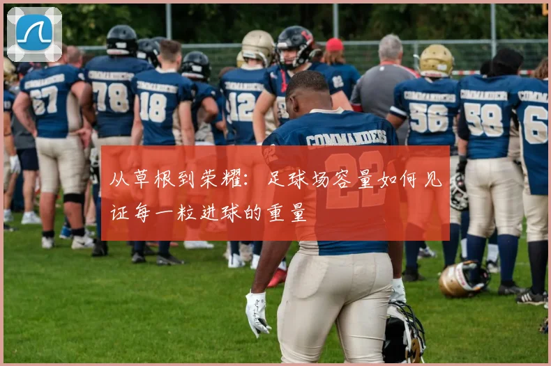 从草根到荣耀：足球场容量如何见证每一粒进球的重量