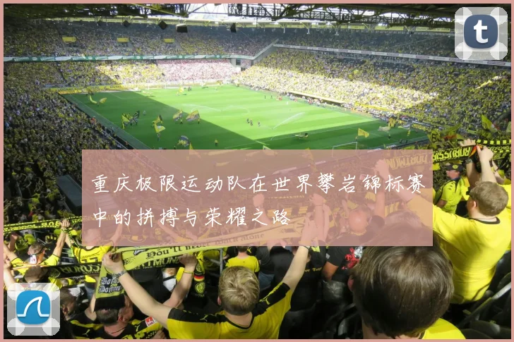 重庆极限运动队在世界攀岩锦标赛中的拼搏与荣耀之路