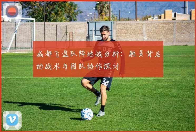 成都飞盘队阵地战分析：胜负背后的战术与团队协作探讨